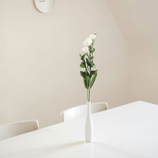 Ceramics at Home